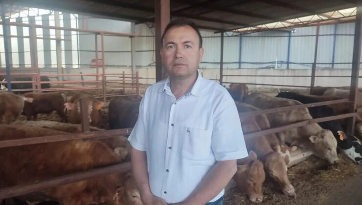 Manisa’da kurbanlığın fotoğrafını çekerken öldü