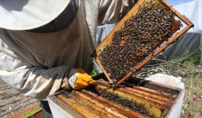 Manisa’da maden alanında bal üretimi başlıyor