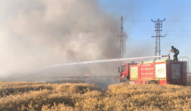 Mardin’de 155 dönüm ekili buğday yandı