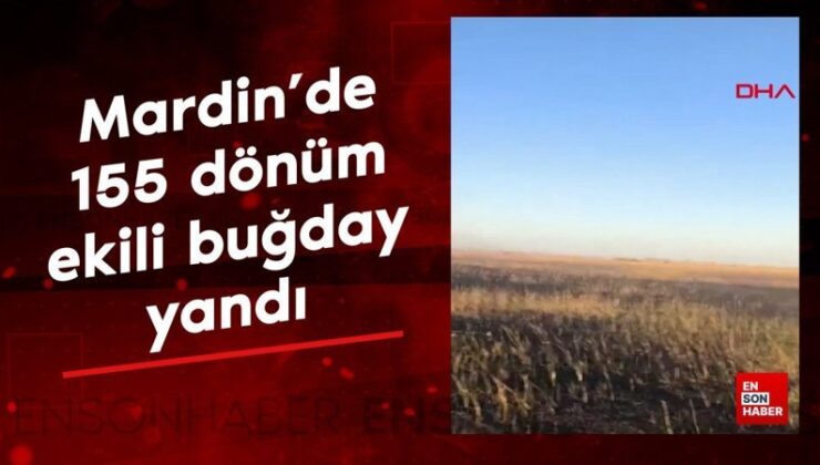 Mardin’de 155 dönüm ekili buğday yandı