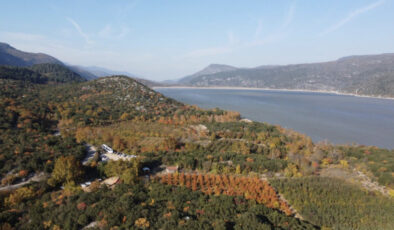 Muğla’da ormanlara giriş yasağı getirildi