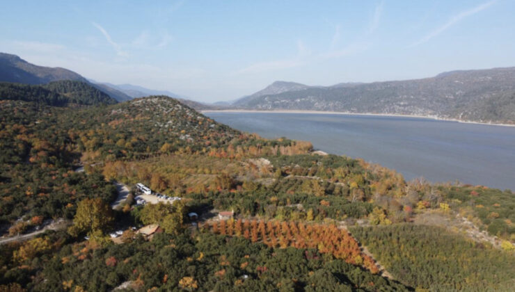 Muğla’da ormanlara giriş yasağı getirildi