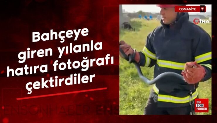 Osmaniye’de bahçeye giren yılanla hatıra fotoğrafı çektirdiler