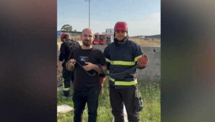 Osmaniye’de bahçeye giren yılanla hatıra fotoğrafı çektirdiler
