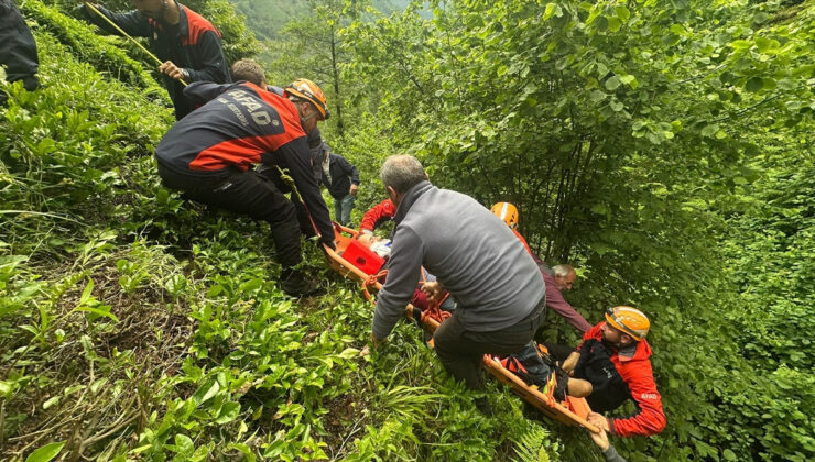 Rize’de çay hasat ederken yamaçtan düştü