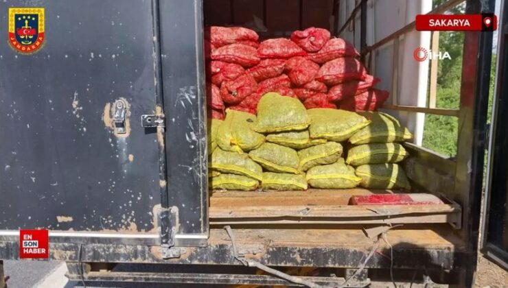 Sakarya’da kamyonetten 5 ton evraksız midye çıktı: 62 bin TL ceza