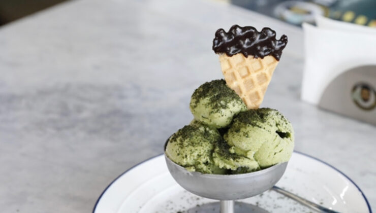 Samsun’da ısırgan otundan dondurma yapıldı