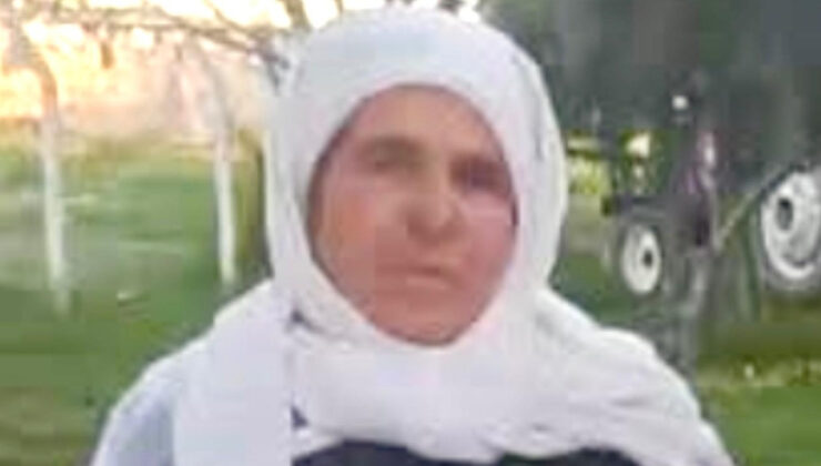 Şanlıurfa’da kamyon ile araba çarpıştı: 1 meyyit, 3 yaralı