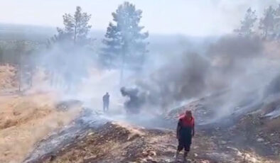 Şanlıurfa’da sigara izmaritleri yangına neden oldu