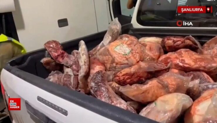 Şanlıurfa’da şok aramada bozuk et ve kaçak eser ele geçirildi
