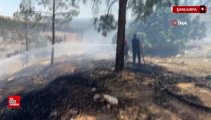 Şanlıurfa’da söndürülmeden atılan izmaritler iki başka yangına yol açtı
