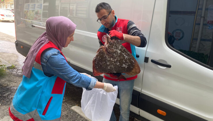 Sinop’ta kaçak avlanan 363 kalkan balığı vatandaşa dağıtıldı