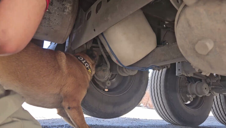 Şırnak’ta araçtaki 30 kilo uyuşturucuyu dedektör köpek ‘Hektor’ buldu