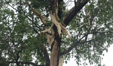 Sivas’ta meskenin bahçesine düşen yıldırım paniğe neden oldu