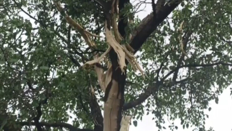 Sivas’ta meskenin bahçesine düşen yıldırım paniğe neden oldu