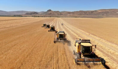 Tarım ve Orman Bakanlığı hububat alım fiyatlarını açıkladı