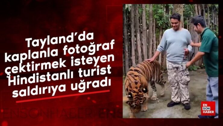 Tayland’da kaplanla fotoğraf çektirmek isteyen Hindistanlı turist taarruza uğradı