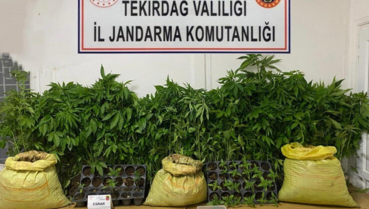 Tekirdağ’da jandarmadan uyuşturucu operasyonu