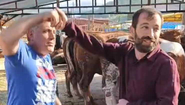 Trabzon’da izleyenleri güldüren kurban pazarlığı