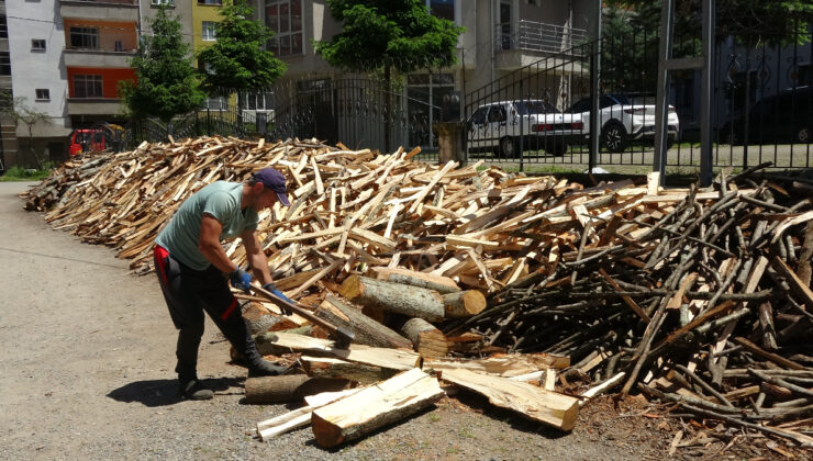 Trabzon’da odun kırarak ayda 80 bin TL kazanıyor