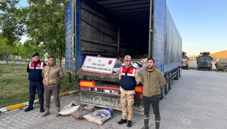 Van’da 22 ton 475 kilogram kaçak avlanmış balık ele geçirildi