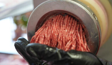 Yetkisiz kıyma çekenlere 22 bin TL ceza