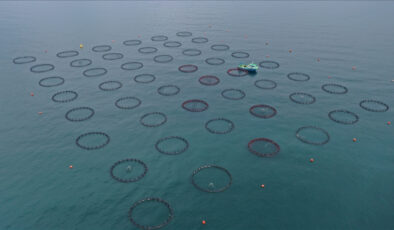 Yılın birinci 4 ayında Doğu Karadeniz’den 21 ülkeye su eseri ihracatı