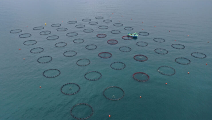 Yılın birinci 4 ayında Doğu Karadeniz’den 21 ülkeye su eseri ihracatı