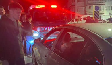 Yozgat’ta mahsur kalan kediler kurtarıldı