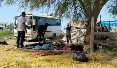 Adana’da kurbanlıklar kaldırım kenarında kesildi