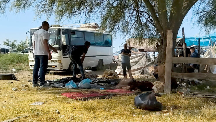 Adana’da kurbanlıklar kaldırım kenarında kesildi