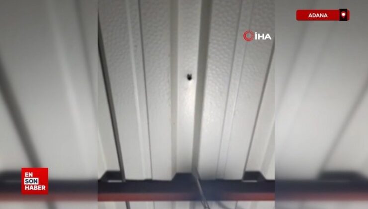 Adana’da yorgun mermi, ailenin oturduğu çardağa isabet etti