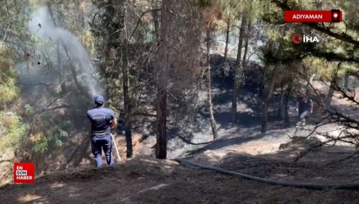 Adıyaman’da çocukların çakmakla oyunu ormanı yaktı