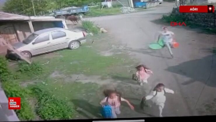 Ağrı’da kaçan kurbanlık boğa, şeker toplayan çocukları kovaladı