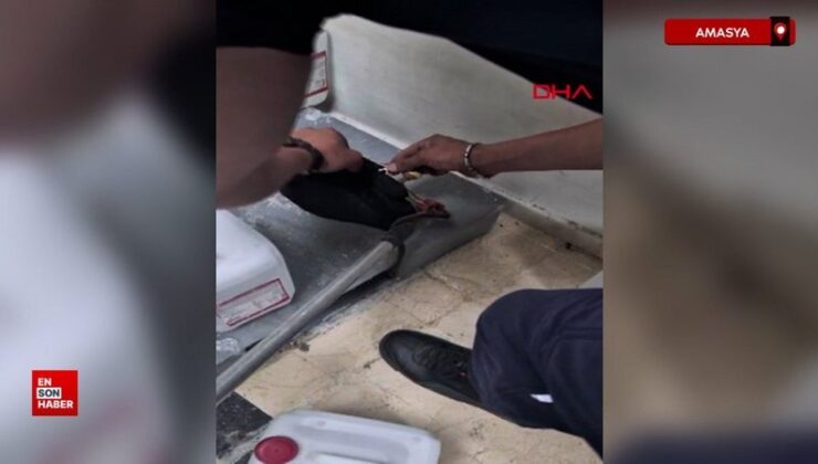 Amasya’da hastane deposunda ‘yılan’ paniği