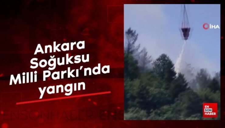 Ankara Soğuksu Ulusal Parkı’nda yangın