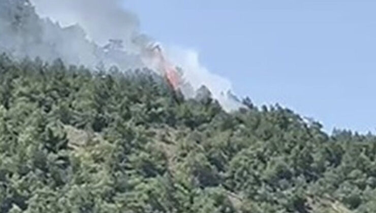 Ankara’da orman yangını: Denetim altına alındı