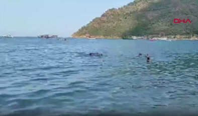 Antalya’da yüzme öğrenmeye çalışan lise öğrencisi hayatını kaybetti