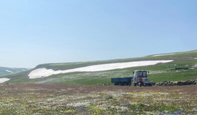 Ardahan’da iki mevsim birebir anda yaşanıyor