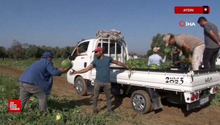 Aydın karpuzu için pazarcılar gün doğmadan sıraya giriyor