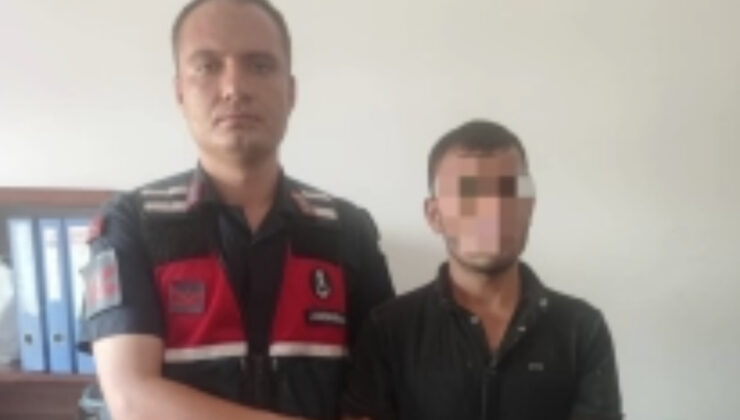 Aydın’da tarlada akrabasını öldürüp kayıplara karıştı