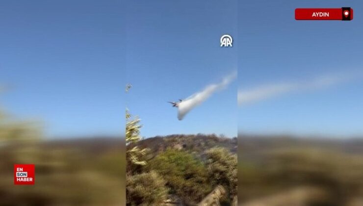 Aydın’da ziraat alanında çıkan yangın denetim altına alındı