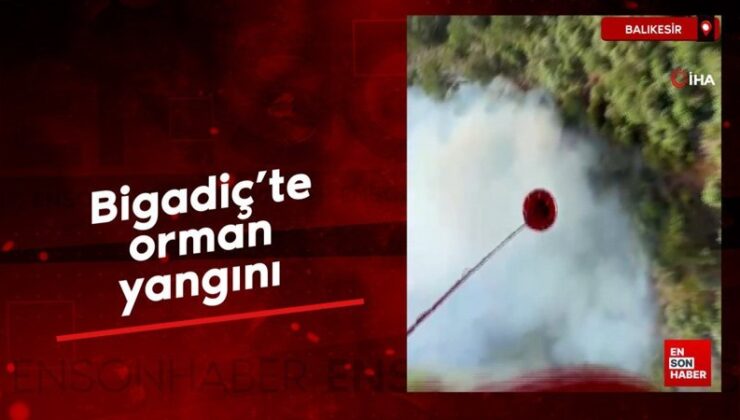Balıkesir Bigadiç’te orman yangını