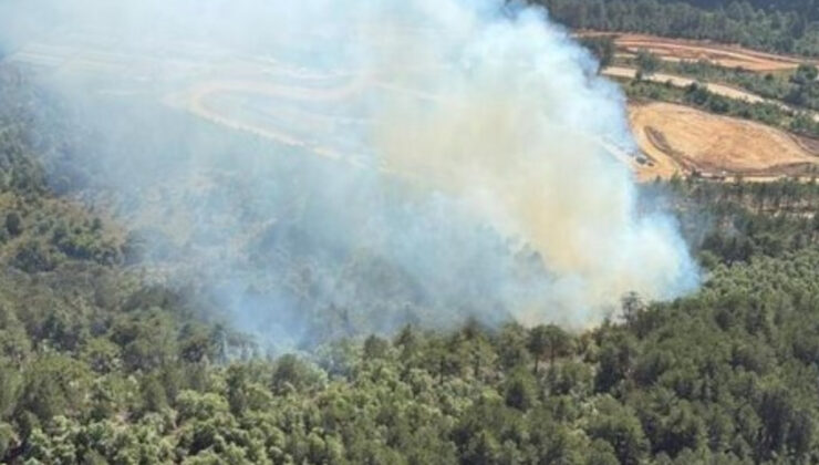 Balıkesir’de orman yangını
