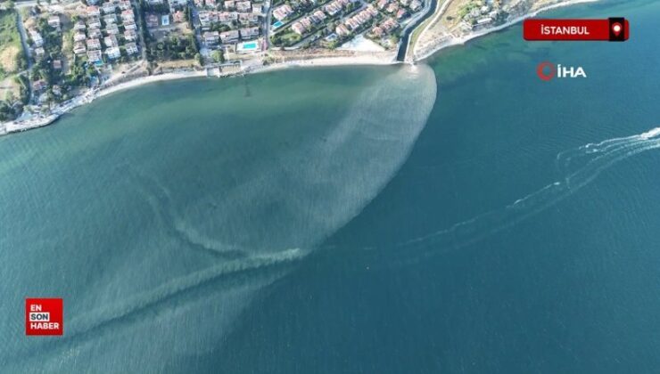 Beylikdüzü kıyısında kirlilik: Marmara Denizi kahverengiye büründü