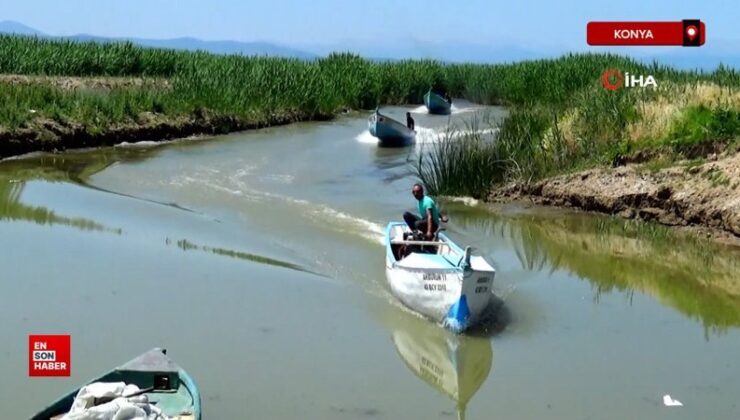 Beyşehir Gölü’nde balıkçılar avlanma dönemini açtı