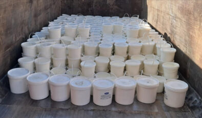 Bingöl’de etiketsiz ele geçirilen yoğurt ve peynir imha edildi