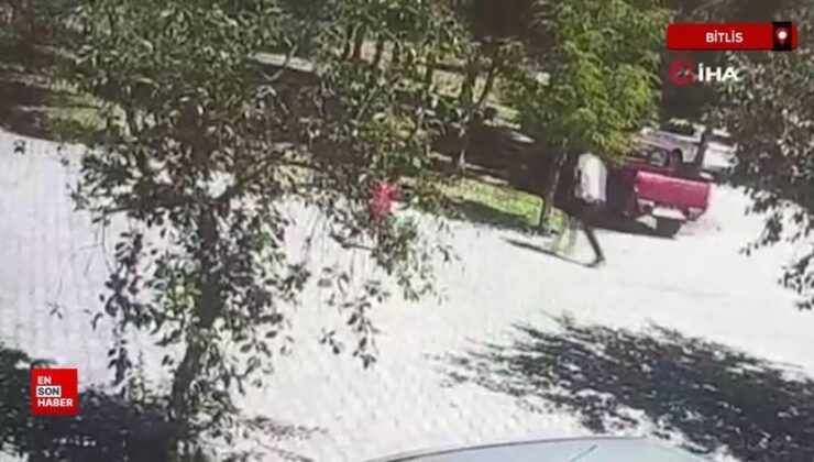 Bitlis’te köpeklerin saldırısına uğrayan çocuk son anda kurtarıldı