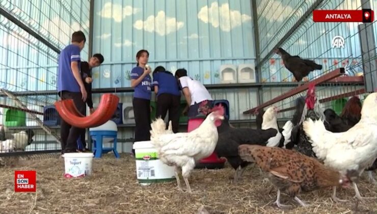 Bu okulun öğrencileri piyano çalmayı da zerzevat yetiştirmeyi de öğreniyor