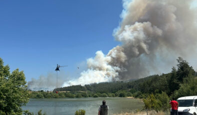 Bursa’da iki başka noktada orman yangını